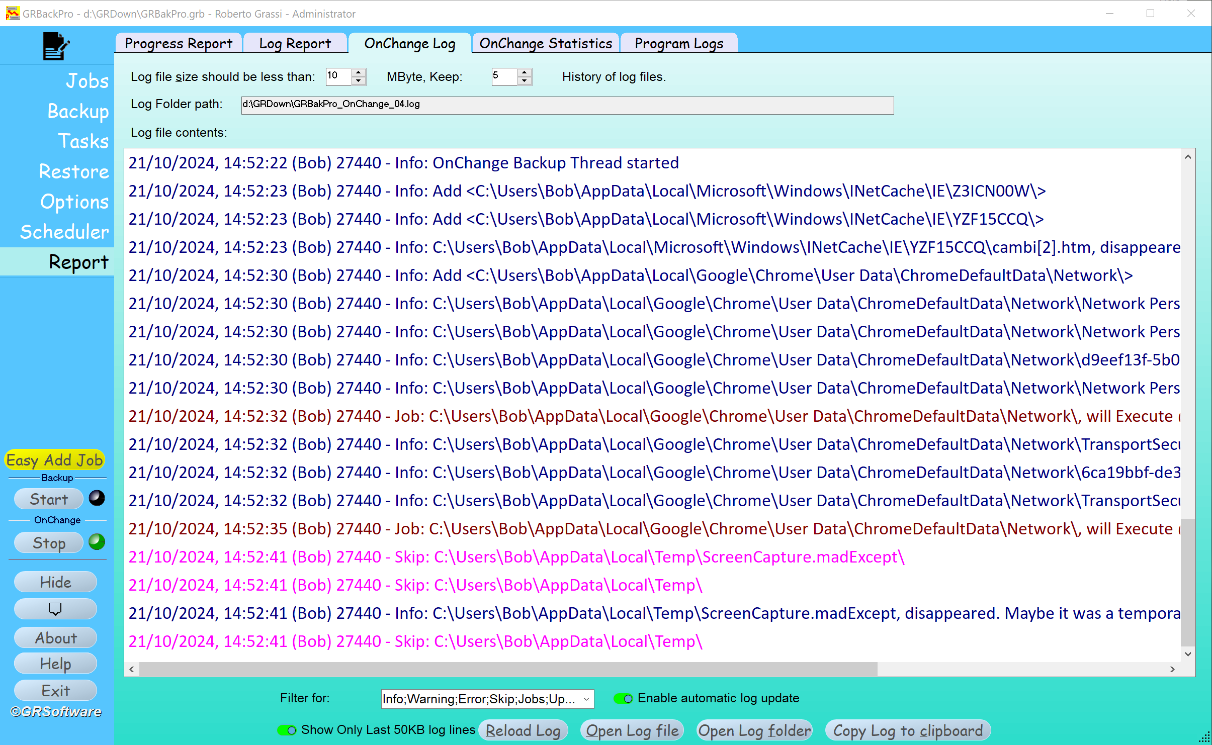 Report panel image